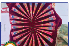 sawan-celebration-15